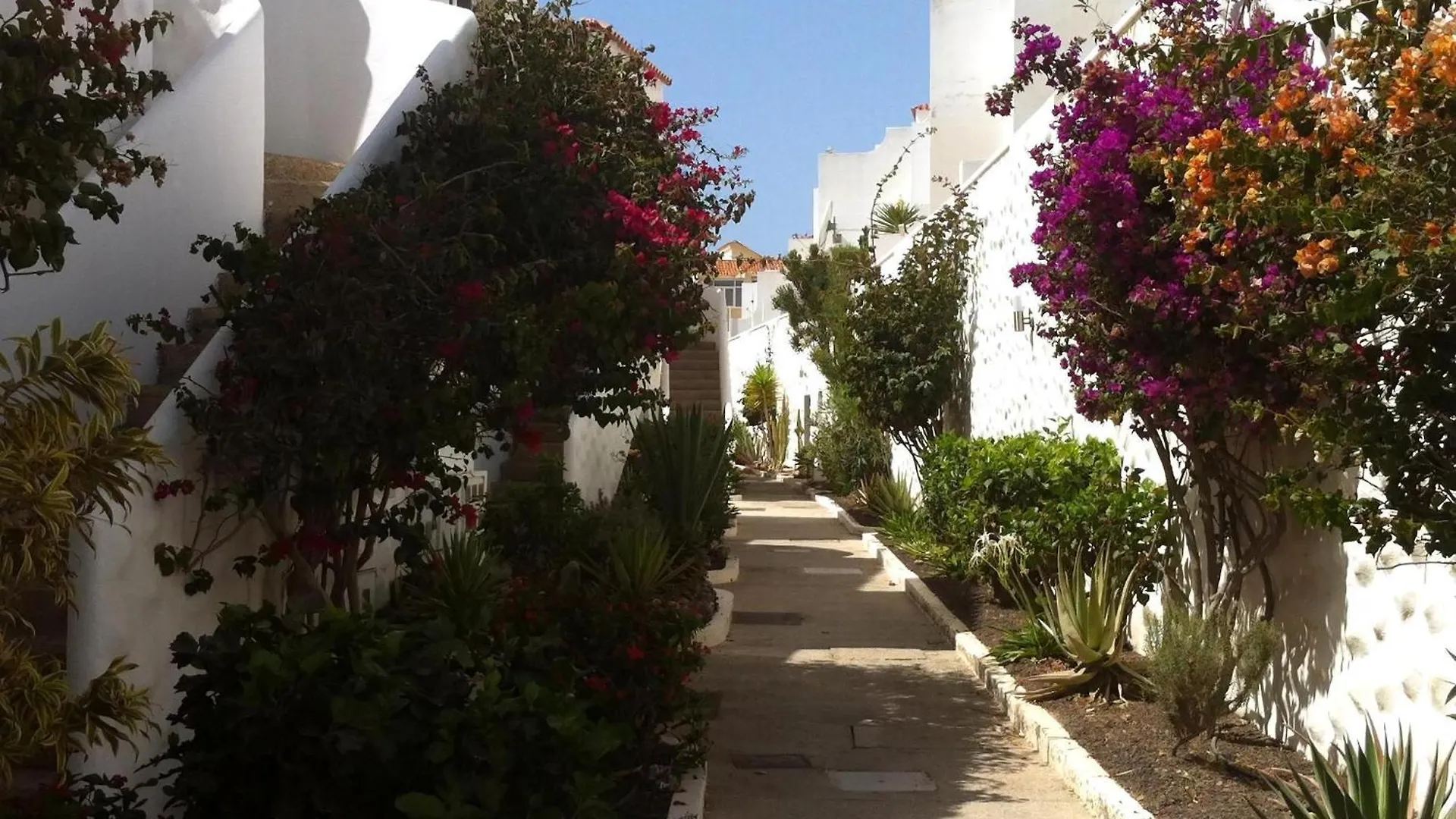קוסטה קלמה Ferienwohnung Iwona Mit Meerblick ספרד